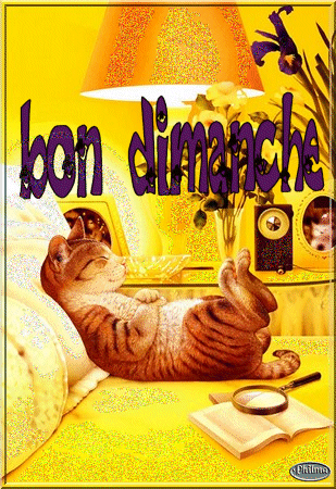Bon Dimanche