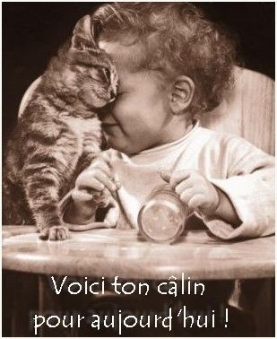 Calin