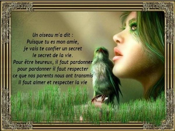 Proverbe francais tumblr dicton du jour rigolote